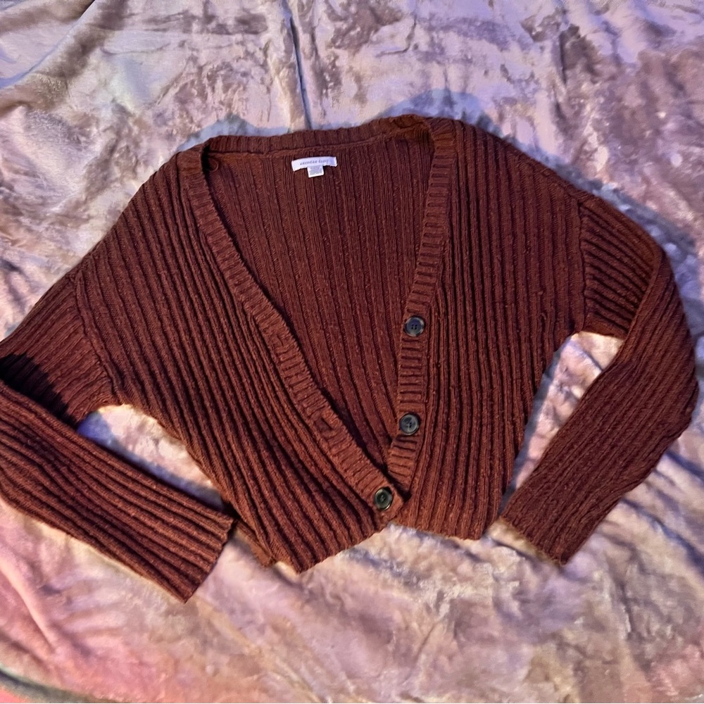 American Eagle | Brown Cardigan Sweater